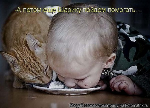 13elikashkugetimage.jpg