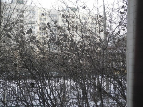 DSCN2162.JPG