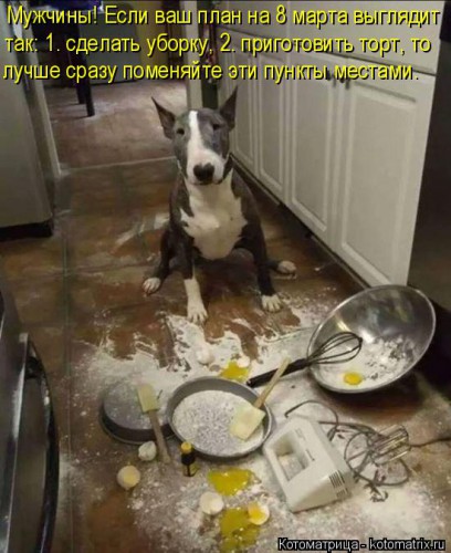 kotomatritsa_KQ.jpg