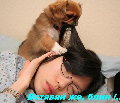 4s3__I3W1gI.jpg