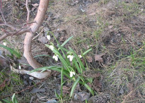 иIMG_3084.jpg