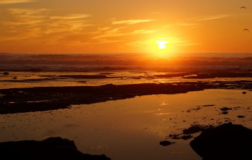 sunset2.jpg