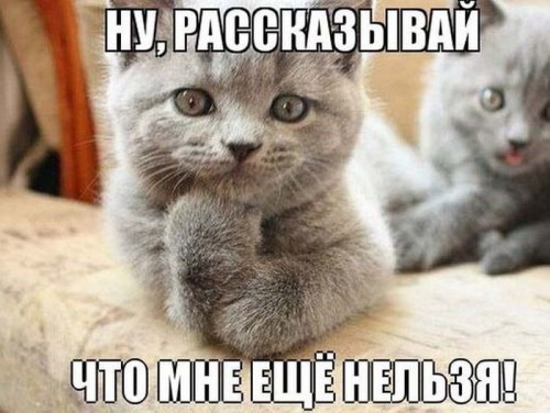 20132603230219.jpg