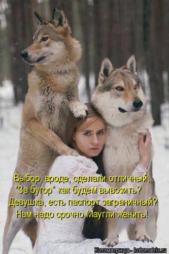 kotomatritsa_TS.jpg