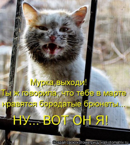 kotomatritsa_h6.jpg