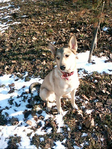 IMG0174A.jpg