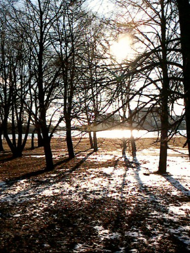 IMG0175A.jpg