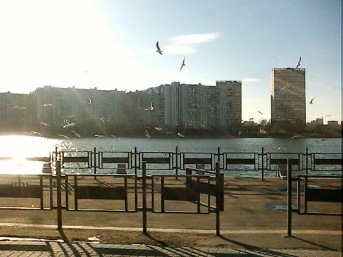 IMG0170A.jpg