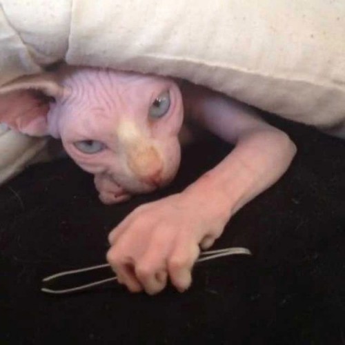 7B8b8jSpI3g.jpg