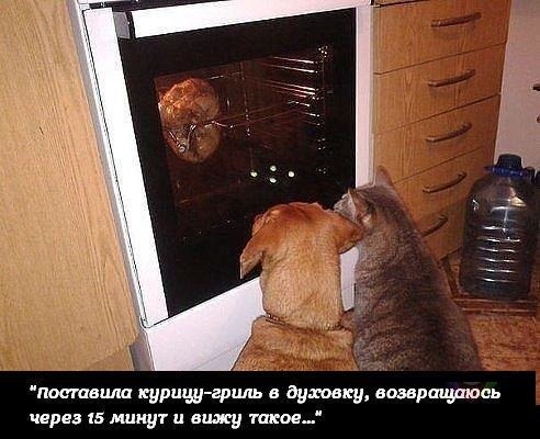 4mu5CAGhE6g.jpg