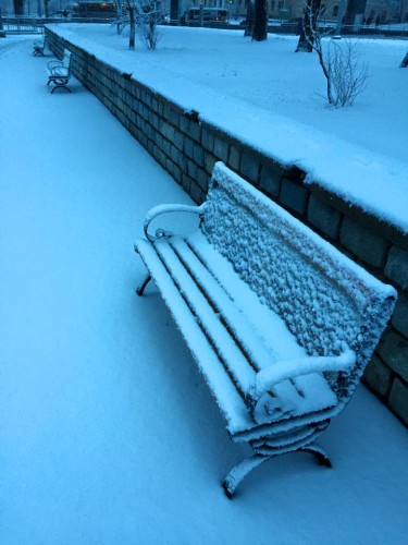the 62nd february.jpg