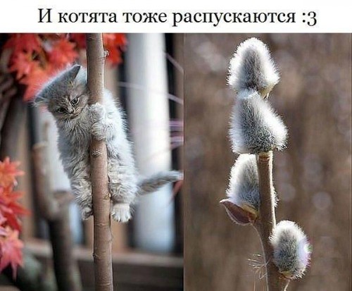 ilimqPmkcK4.jpg
