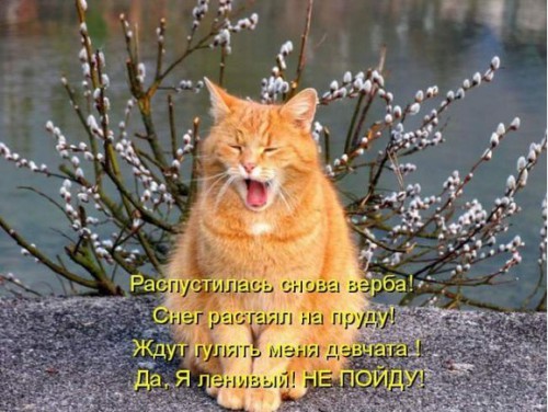 DKfxkPcVNfQ.jpg