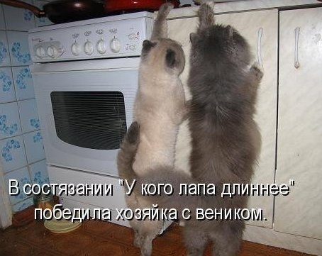 3nvDodUnGbo.jpg