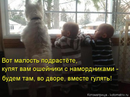 kotomatritsa_U2.jpg