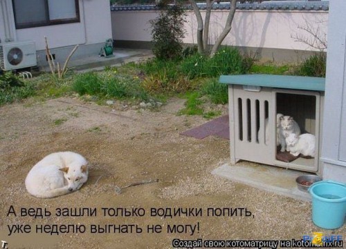 1275865082_kotomatrix_2_43.jpg