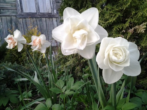 20140502_202016-1.jpg