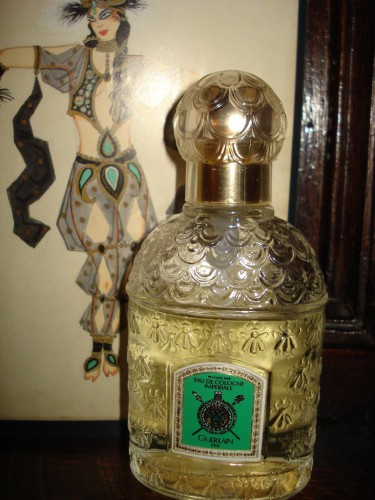 DSC01589a.jpg