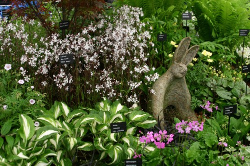 harveys_garden_plants_original.jpg