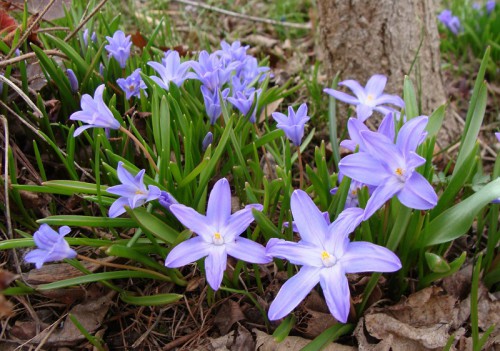 DSC09500.jpg