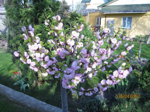 image (2).jpg
