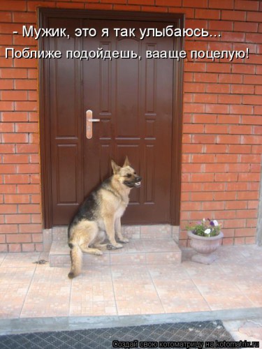 kotomatritsa_xJ.jpg