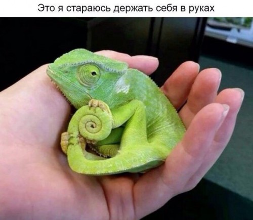 vgzQ_bqkg-4.jpg
