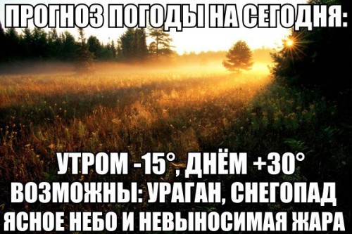tP9DhD7tZxI.jpg