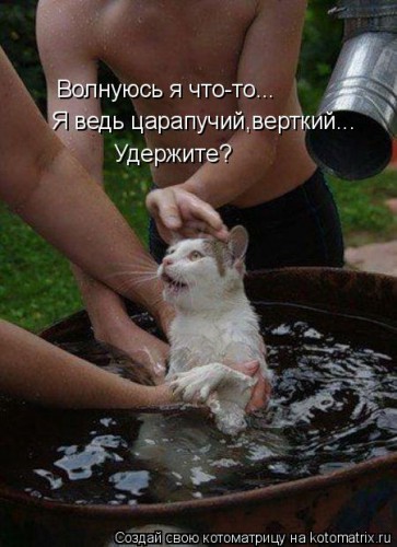 kotomatritsa_U.jpg