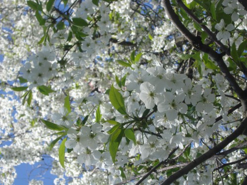DSC004551.JPG