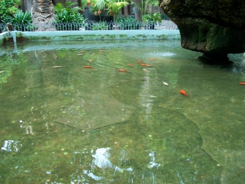 100_7487.JPG