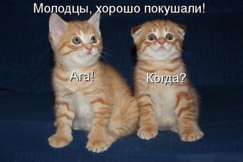 getImage (301).jpg