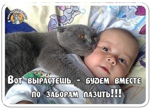 N53MQHFfFTQ.jpg