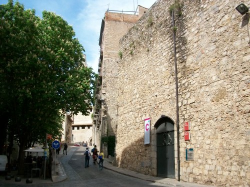 100_7639.JPG