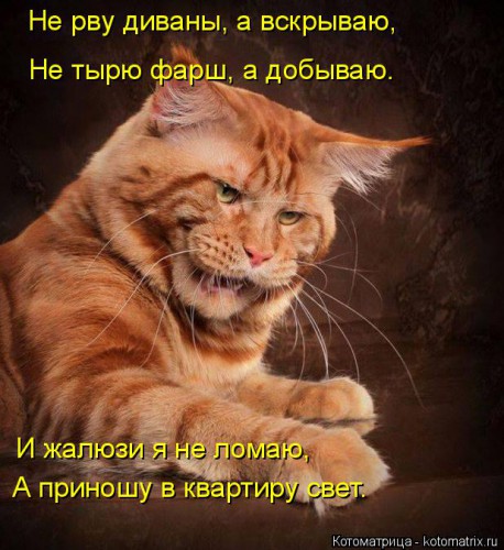 kotomatritsa_ki.jpg