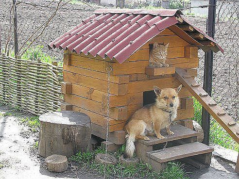 getImage (114).jpg