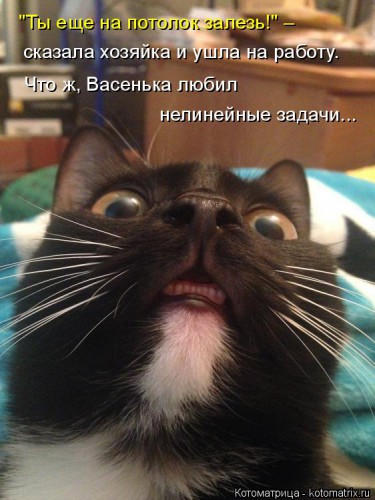 kotomatritsa_S.jpg