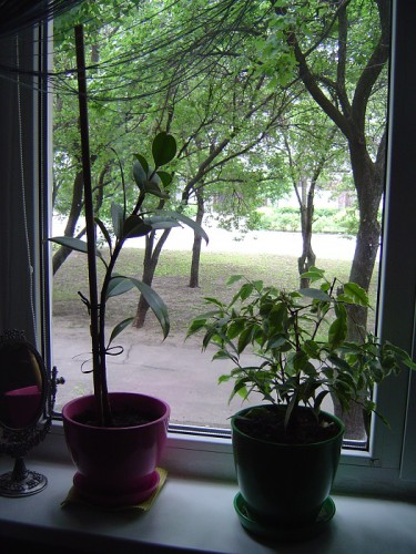DSC00425.JPG