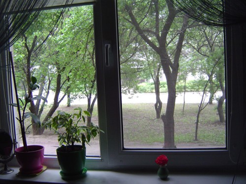 DSC00426.JPG