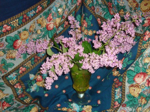 Сирень