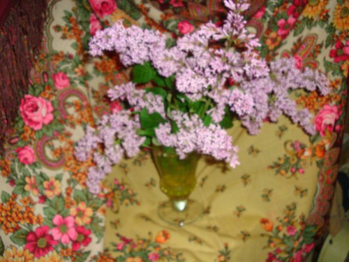 Цветет сирень 6