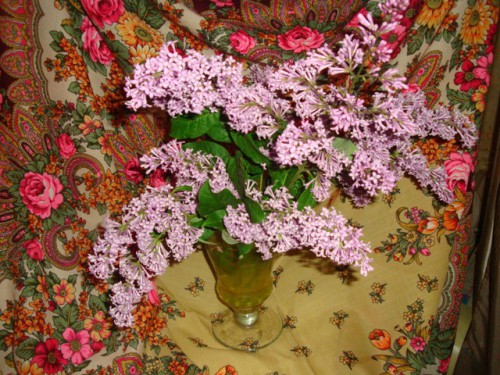 DSC08855.JPG