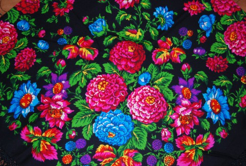 Ежевика(чёрная)