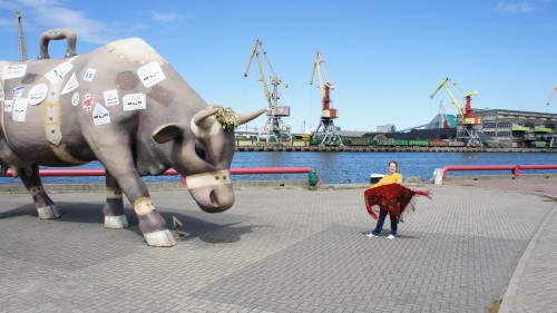 Бык-1.jpg