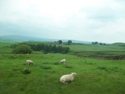 100_8013.JPG