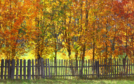IMG_6064в.jpg