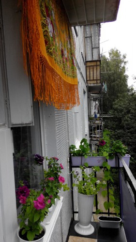 IMG_20150716_131216.jpg