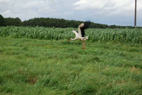 image9INLGKQC.jpg