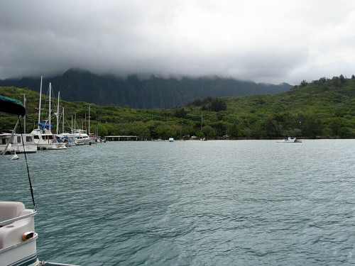 IMG_8190.jpg