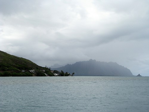 IMG_8192.jpg